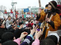 Japan, Akita, Yokote Bonden Festival - Oh the Pageantry!