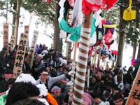 Japan, Akita, Yokote Bonden Festival - The Mosh Pit of the Gods